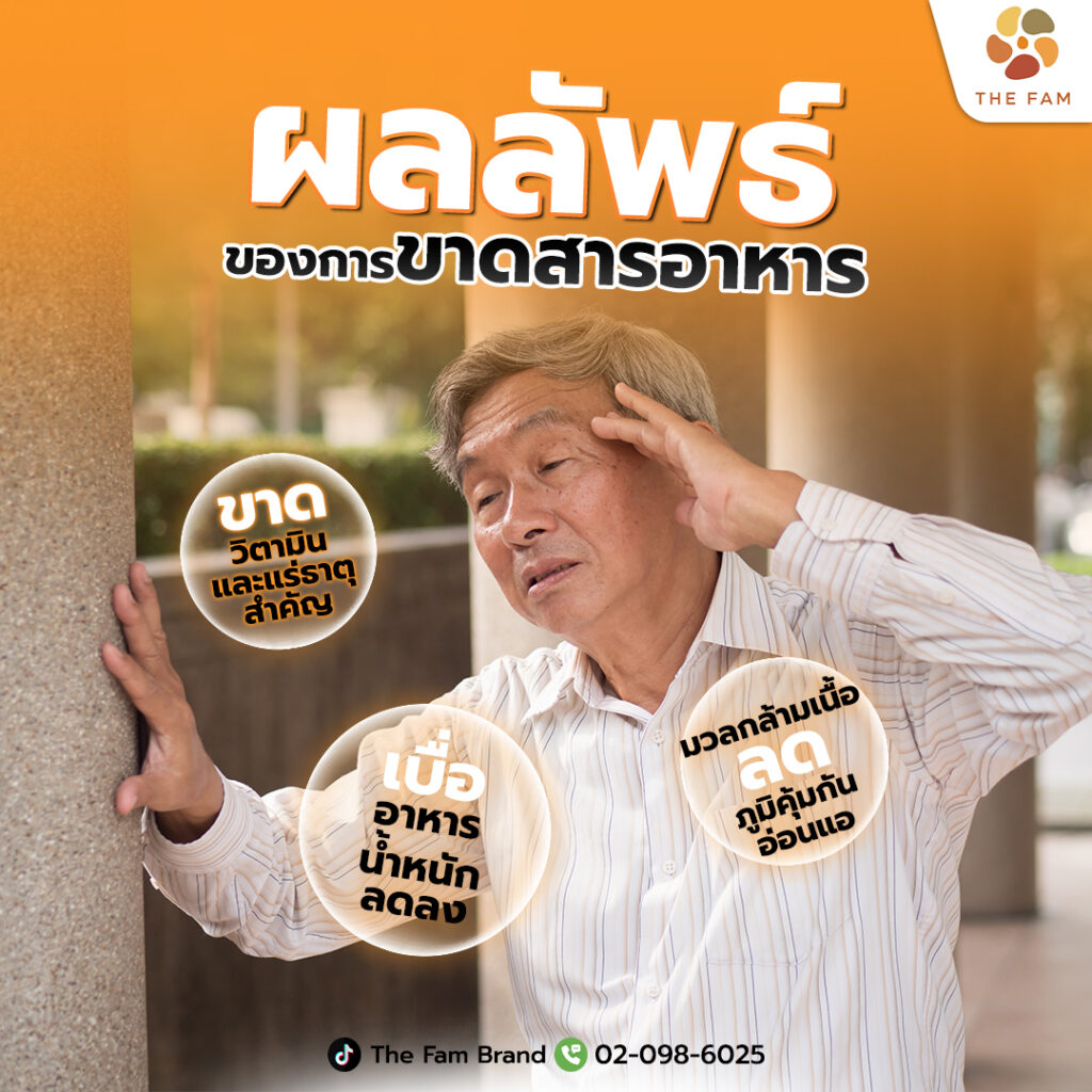 ผลลัพธ์ของการขาดสารอาหาร ทำไมผู้สูงอายุควรเลือก Vita FAM